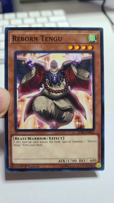 Reborn Tengu x2 SDPL-EN012 Structure Deck Powercode Link Common 1st Edition NM-image