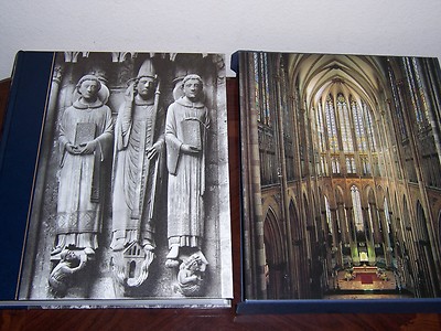 Folio Society / Abrams GREAT CATHEDRALS OF MIDDLE AGES Bernhard Schutz / SEALED -image