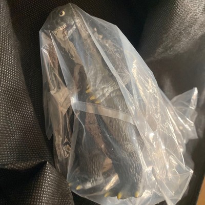 New  Official Limited Mothra vs. Godzilla Movie Monster Series Soft Vinyl Figure-image