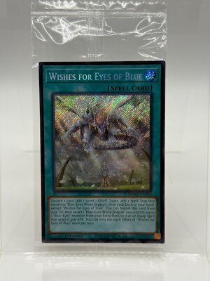 Wishes for Eyes of Blue (Secret Rare) SDWD-EN042 Structure Deck: Blue-Eyes White-image