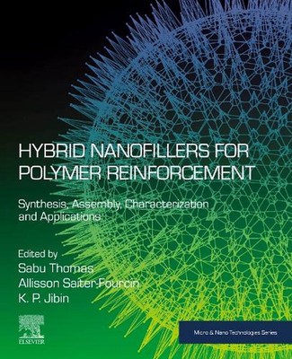 Hybrid Nanofillers for Polymer Reinforcement: Synthesis, Assembly, Characterizat-image