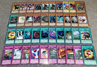 Complete 40 Card Structure Deck: Dinosaur's Rage (SD9) 1st Edition Yu-Gi-Oh!-image