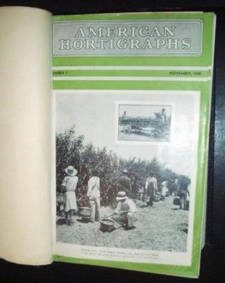 American Hortigraphs Agronomic Review American Cyanamid-image