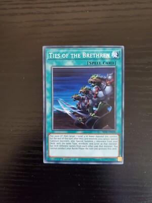 Ties of the Brethren - Yugioh Structure Deck Mechanized Madness 1st - SR10-EN030-image