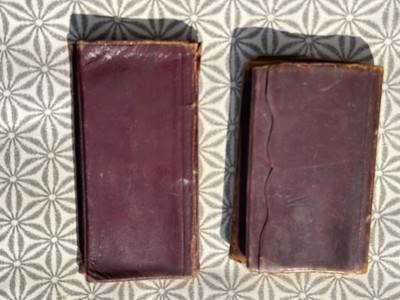 19th C. Anderson, In. 2 Vol. Diary Teacher, Stonemason, Earthquake, Norton's +++-image