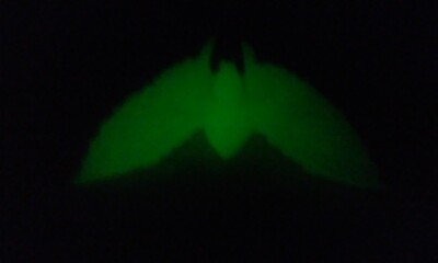 Vtg Battra Adult Hikaru (1991) 3