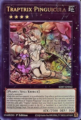 Traptrix Pinguicula SDBT-EN042-image