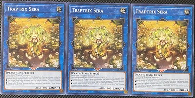 Traptrix Sera SDBT-EN044 Structure Deck: Beware of Traptrix 1st Edition (x3)-image