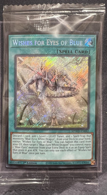 Wishes for Eyes of Blue (Secret Rare) SDWD-EN042 Structure Deck: Blue-Eyes White-image
