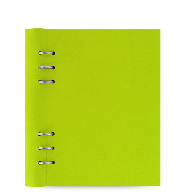 Chic Filofax A5 Size Clipbook Leather-Look Refillable Notebook Diary Book Pear-image