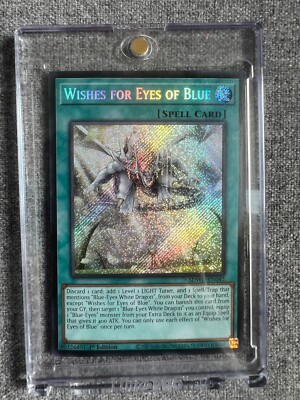 Wishes for Eyes of Blue (Quarter Century Secret Rare) SDWD-EN042 Structure Deck:-image