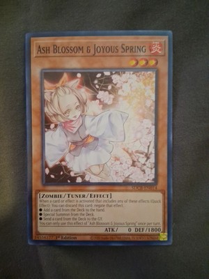 YUGIOH! Ash Blossom and Joyous Spring SDCB-EN014 Common 1st Edition Near Mint-image
