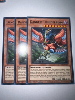 Yugioh 3X Danger! Thunderbird! SR13-EN019 Near Mint -image