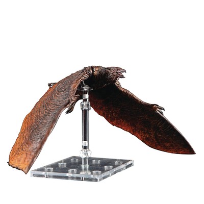 Godzilla: King of Monsters – Rodan Exquisite Basic Action Figure-image
