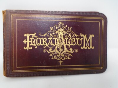 Vintage Classic Historic Kansas Album 1886-image