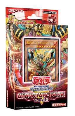 Yu-Gi-Oh! OCG Duel Monsters Structure Deck R -Range Trading Cards Set-image