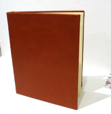 Graphic Image Album 8x10 Bound Leather Cover Dry Mount RUST-image