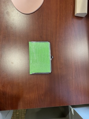 Green Leather Photo Album Clutch -image