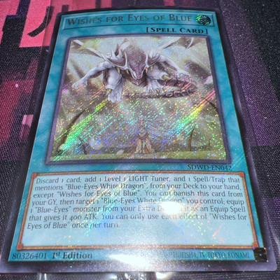 Wishes for Eyes of Blue (Secret Rare) SDWD-EN042 Structure Deck: Blue-Eyes White-image