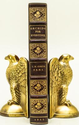 1910 1stED Orchids For Everyone Fine Leather Color Illustrations 10.5