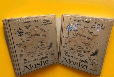 Lot Of 2 A.C.E. Alaska Photo Albums 4x6 Embossed Map Faux Leather  -image