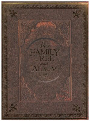 Our Family Tree and Album by Samone Bos Record book Book The Fast Free Shipping-image