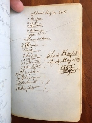 1850's Ledger of Madison College Uniontown Pennsylvania Clinton, Dewitt Illinois-image