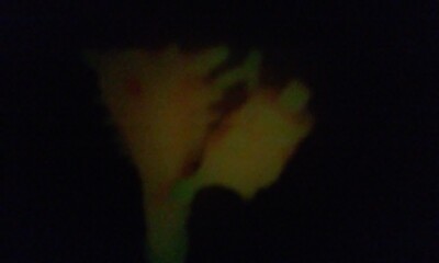 Vtg Battra Larva Hikaru (1991) 1.5