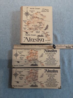 Lot of 3 Alaska Vacation Photo Albums Embossed Map Faux Leather 200 photos-image