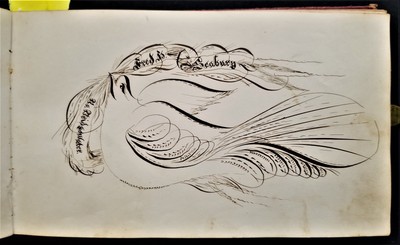 1868 antique FRAKTUR penmanship AUTOGRAPH ALBUM poughkeepsie ny Thos CLARK bird-image