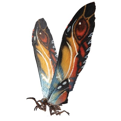 Hiya Toys Godzilla: King of Monsters – Mothra Exquisite Basic Action Figur-image
