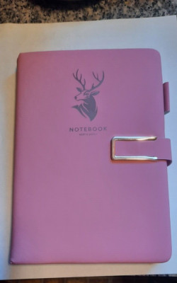 SALE,Pink Faux, Leather-Bound, Mental Health Journal, Date, Memo At Top Of Pages-image