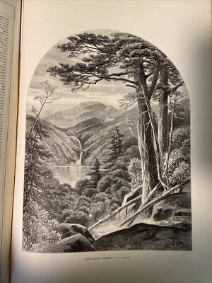 Exceptional 1871-1872 The Aldine Typographic Art Journal Volume IV; Adirondacks-image