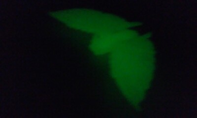 Vtg Battra Adult Hikaru (1991) 3