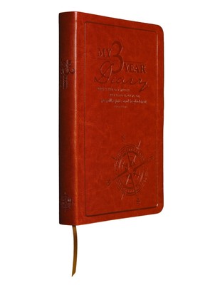 My 3-Year Diary-image