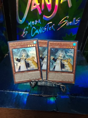 (x3) Yugioh! SDFC-EN003 - Speaker for the Ice Barriers Ultra Rare 1st - NM!!-image